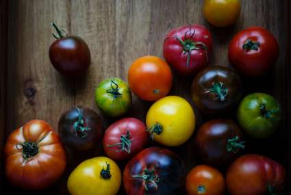 Ça y est, les tomates sont arrivées!